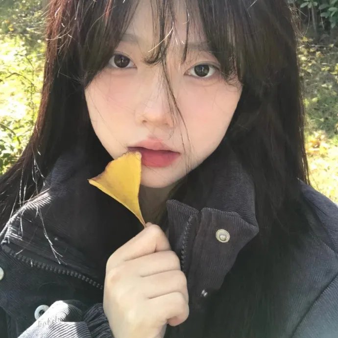 院线新片