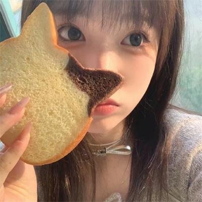 丛林奇航